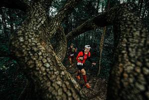 BIB: 
                            <button type="button" onclick="openModal(25681879)" class="btn btn-primary btn-sm float-right btn-popup" data-toggle="modal" data-target=".modal-high-quality">
                        <i class="fas fa-shopping-cart"></i> Add to Cart
                    </button>
                                            <button type="button" onclick="isThisMe(25681879, true)" class="btn btn-success btn-sm float-right btn-popup btn-isme hidden" data-toggle="tooltip" data-placement="bottom" title="นี่คือรูปของคุณใช่ไหม คลิกที่นี่เพื่อเอาเข้าอัลบั้ม">
                        <i class="fas fa-plus"></i> Add to album
                    </button>
                    <button type="button" onclick="isThisMe(25681879, false)" class="btn btn-warning btn-sm float-right btn-popup btn-isnotme hidden">
                        <i class="fas fa-ban"></i> Remove from album
                    </button>